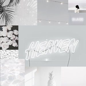 Meet your Posher, Rose